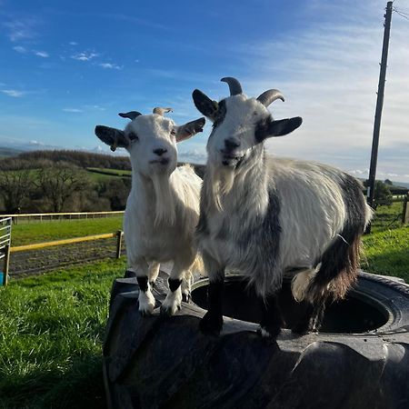 2 Bedroom Holiday Home In The Heart Of West Wales セント・クリアーズ エクステリア 写真