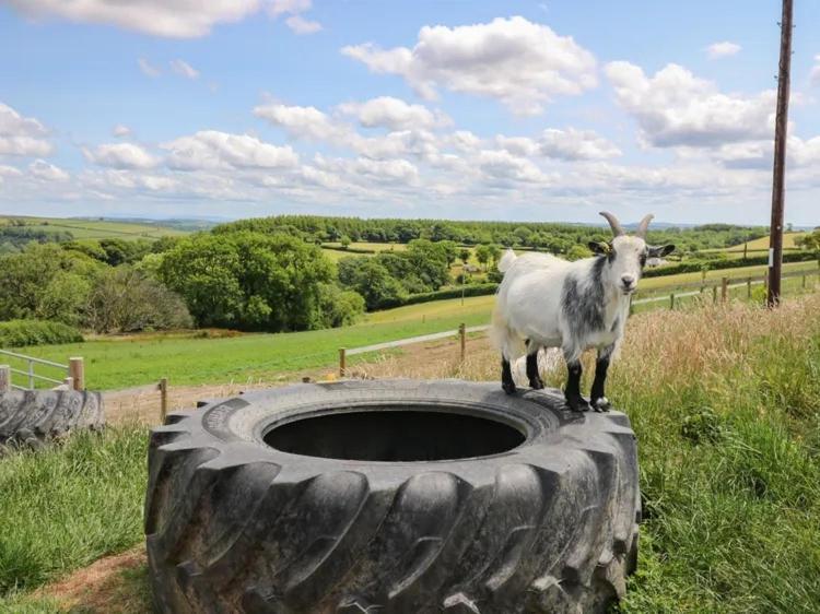 2 Bedroom Holiday Home In The Heart Of West Wales セント・クリアーズ エクステリア 写真