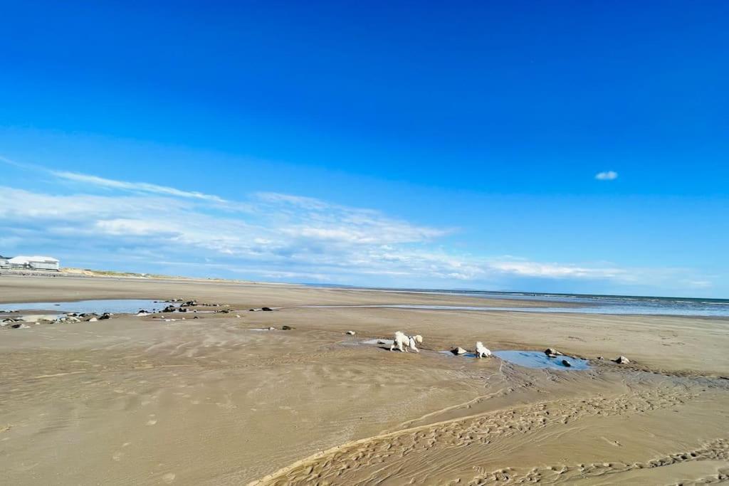 2 Bedroom Holiday Home In The Heart Of West Wales セント・クリアーズ エクステリア 写真